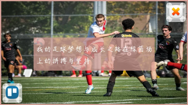 我的足球梦想与成长之路在绿茵场上的拼搏与坚持