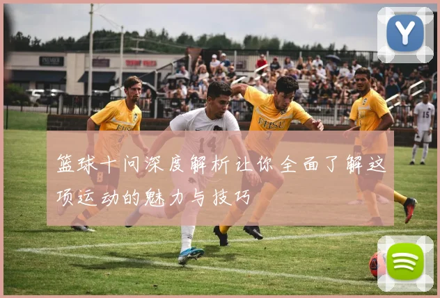 篮球十问深度解析让你全面了解这项运动的魅力与技巧